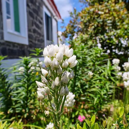 Prázdninový dům Casa D'eira *