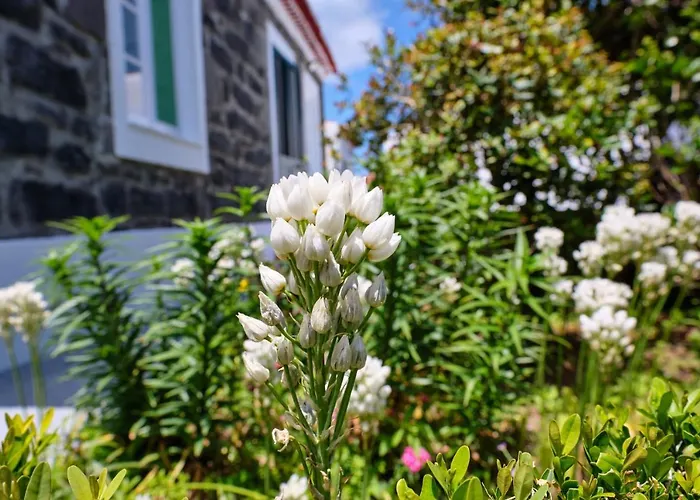 בית נופש Casa D'eira *